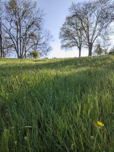 Maisons d'hotes Le Moulin du Fresne, chambres d-hotes : photos des chambres