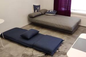 Spacious ground-floor apartment in Etu-Töölö