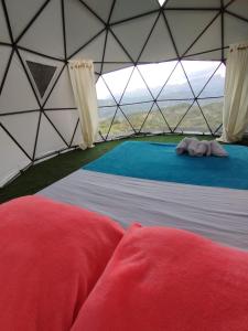 GLAMPING DOMO VILLETA