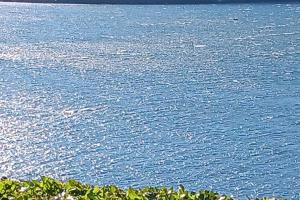 Antica torre del castello Casa Ceresiana