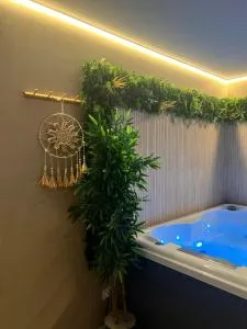 La jacuzz’home - 讷维尔昂费兰