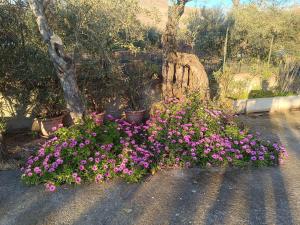 da Francesco img32