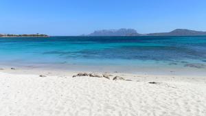 Terrazza su Tavolara img21