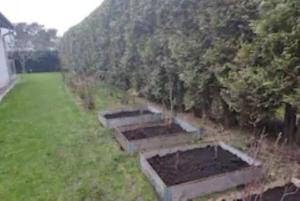 Gästhus, 45m2, lugnt, havsbad