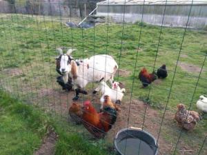 La Ptite maison Les Tourelles