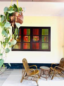 VEDHARA AYURVEDA panchakarma treatment centre