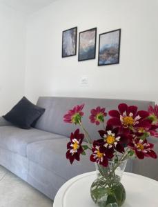 Terme Apartment Levico