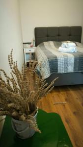 Apartman Ivana