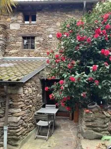 Come stay in our Little Nest - 布里萨戈