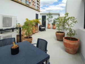 Tribu San Martin Chapultepec