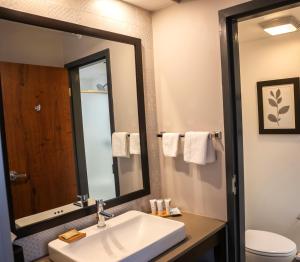 King Room - Non-Smoking room in Country Inn & Suites by Radisson Erie PA