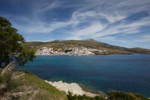 Villa Fiamegou Andros Greece