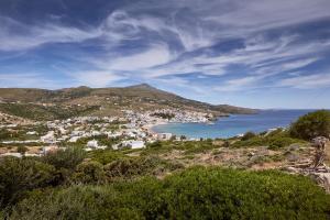 Villa Fiamegou Andros Greece