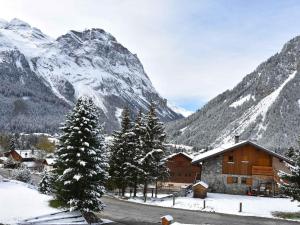 Chalets Luxueux chalet ensoleille, ski aux pieds, pres des pistes et du centre. - FR-1-464-169 : photos des chambres