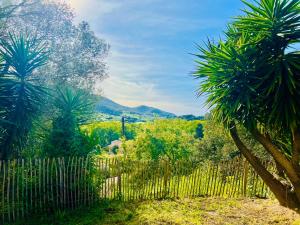 Appartements Loft entre mer et campagne a 5 min d'Ajaccio classe 4 etoiles : photos des chambres