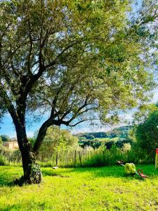 Appartements Loft entre mer et campagne a 5 min d'Ajaccio classe 4 etoiles : Loft