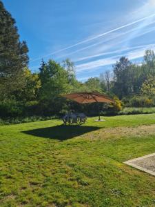 Maisons de vacances Gite des Terres Noires (nouveau logement) : photos des chambres
