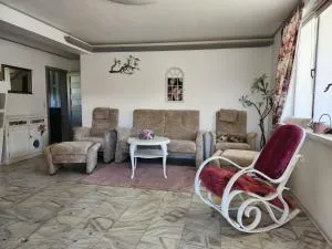 Ferienhaus Ani & Apartment Rustikal - Boldevitz