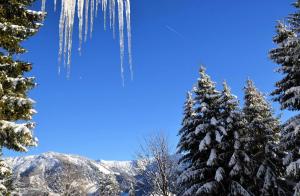Résidence Les Chardons - Appartement calme avec des vues superbes, à proximité des pistes de ski et des randonnées. MAE-2854