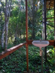 Amazonian Oropéndola & Tambopata