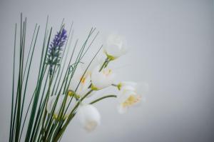 Apartment Bellissima 2 minutes away from the beach