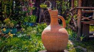 Guest House "SVANETI"