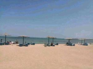 Apartment in Cecelia Resort