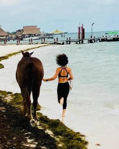 ON THE BEACH SURFERS SUNRISE HAVEN 1