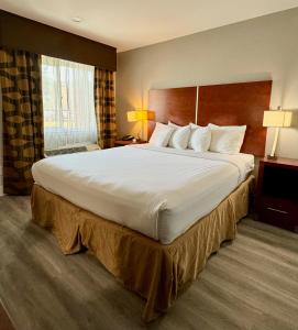 Deluxe King Room - Non-Smoking room in Quality Inn Martinez