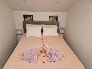 Family friendly house with a swimming pool Imotski, Zagora - 22880