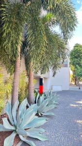 Loft alto padrão, último andar Uptown c garagem