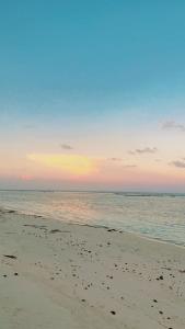Lazzlla beachside studio apartments