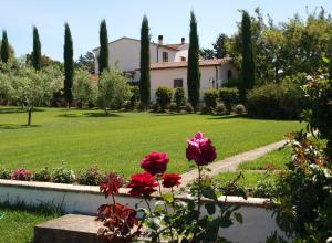 obrázek - Agriturismo Il Migliarino