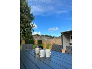 Friesenstuv Modern retreat