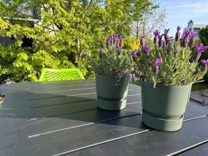 Huijsmansverhuur Type C Comfort Plus Vlier 1