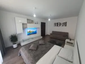 Wonderful Apartment - Timisul de Jos