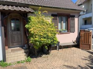 la Maison dà coté de Strasbourg