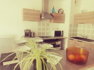 Appartements Belharra Appartement : photos des chambres