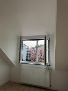 Apartament Koszykarska 27