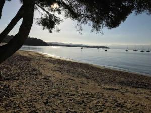 Appartements Super T2 3*, top terrasse, piscine, pres plages : photos des chambres