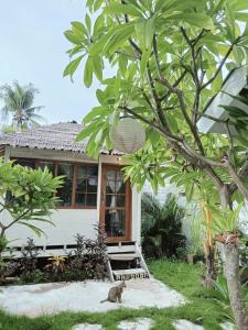 Biệt Thự (Villa)