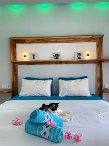 Marta House gili air