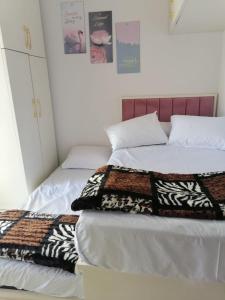 شاليه ايجار شقق فندقي بورتو سعيد شالية غرفتين ورسيبشن و2 حمام ارضي بجاردن خاص Hotel chalet for rent in Porto Said