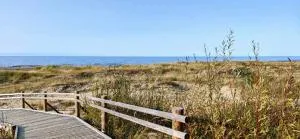 Seaside - Langetsiems