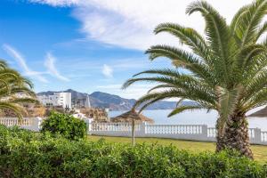 Las Palmeras B1 Apartamento Vacacional