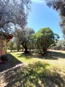 Casa L' Antico Ulivo img52