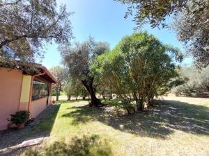 Casa L' Antico Ulivo img47