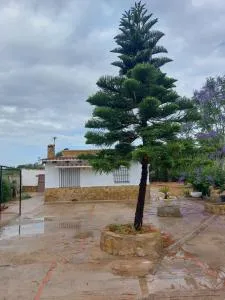 les berreries - Catadau