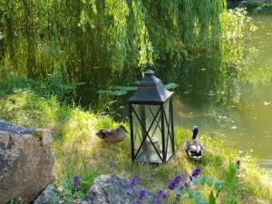 Maisons de vacances Le Moulin de l-O-L-Orle Nature formule 4 personnes : photos des chambres