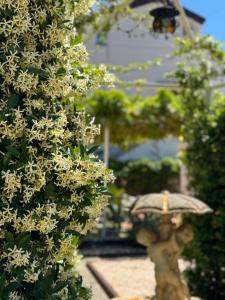 Casa Vacanze Villa Angelina